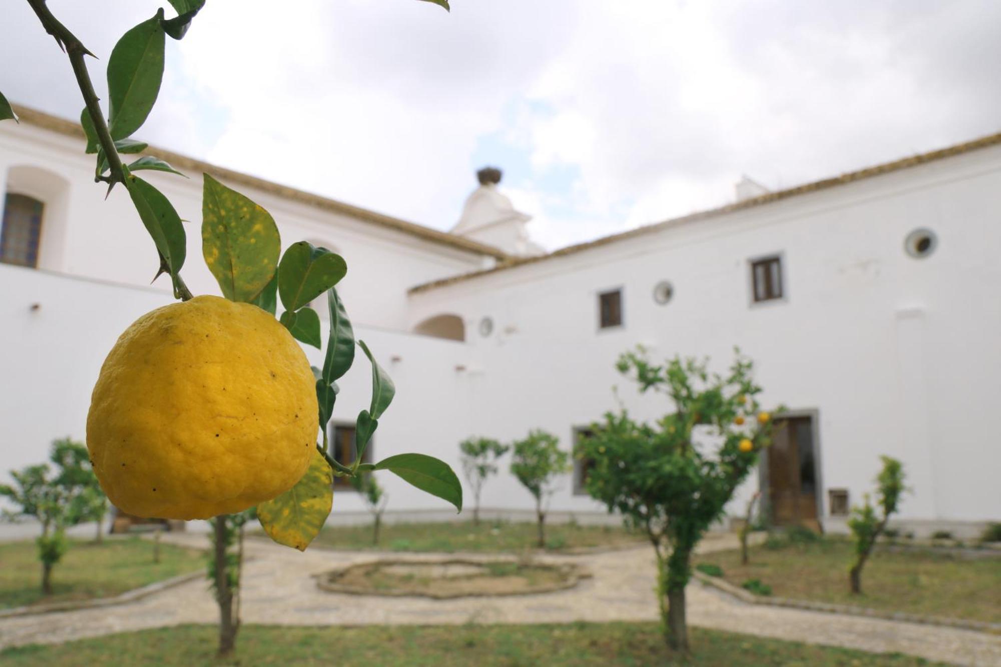 Гостьовий будинок Convento Da Orada - Монсараш Екстер'єр фото